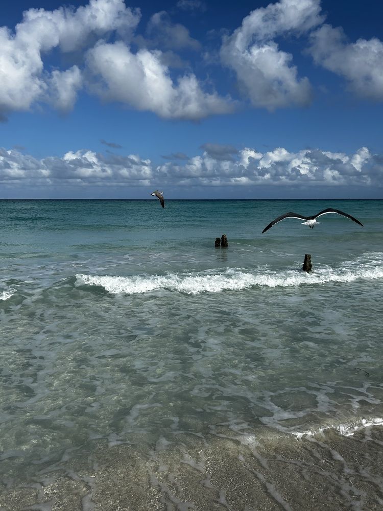 Photograph by Лариса Кошеляевская