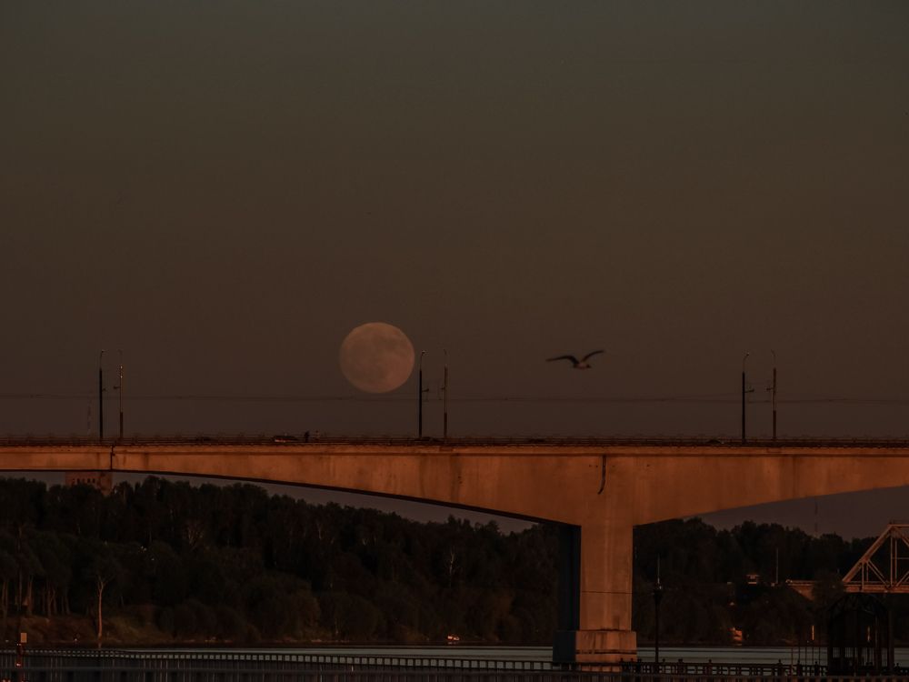 Photograph by Георгий Юркин
