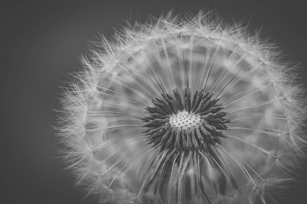 Photograph by Анна Вязьмина