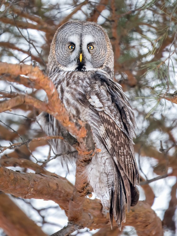 Photograph by Екатерина Дубровская