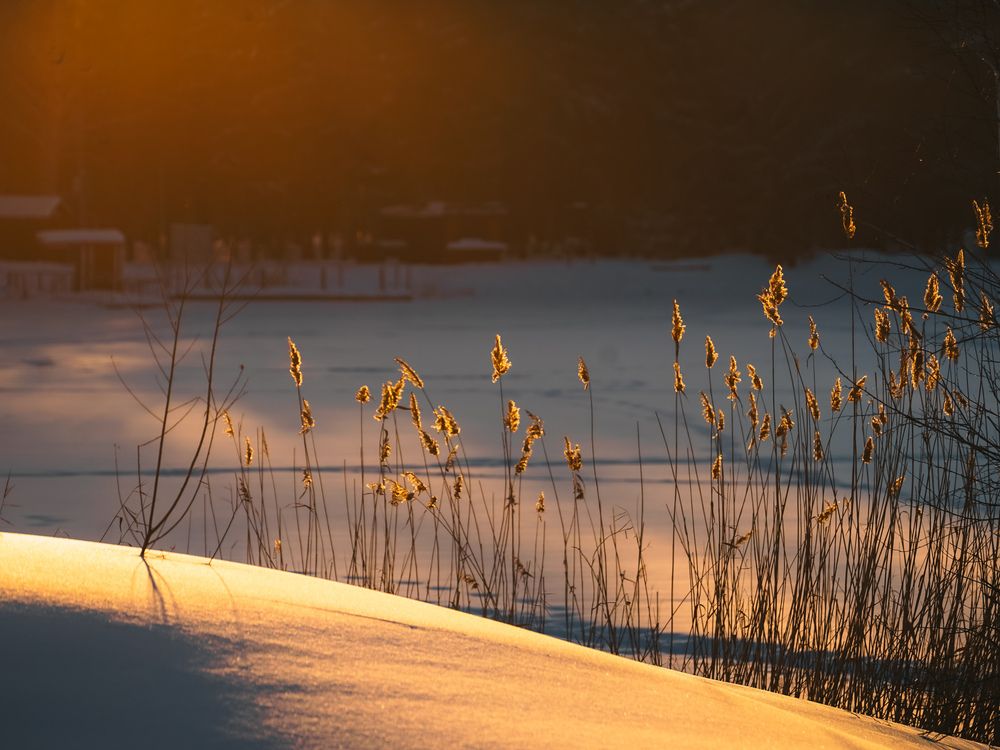 Photograph by Елена Моор