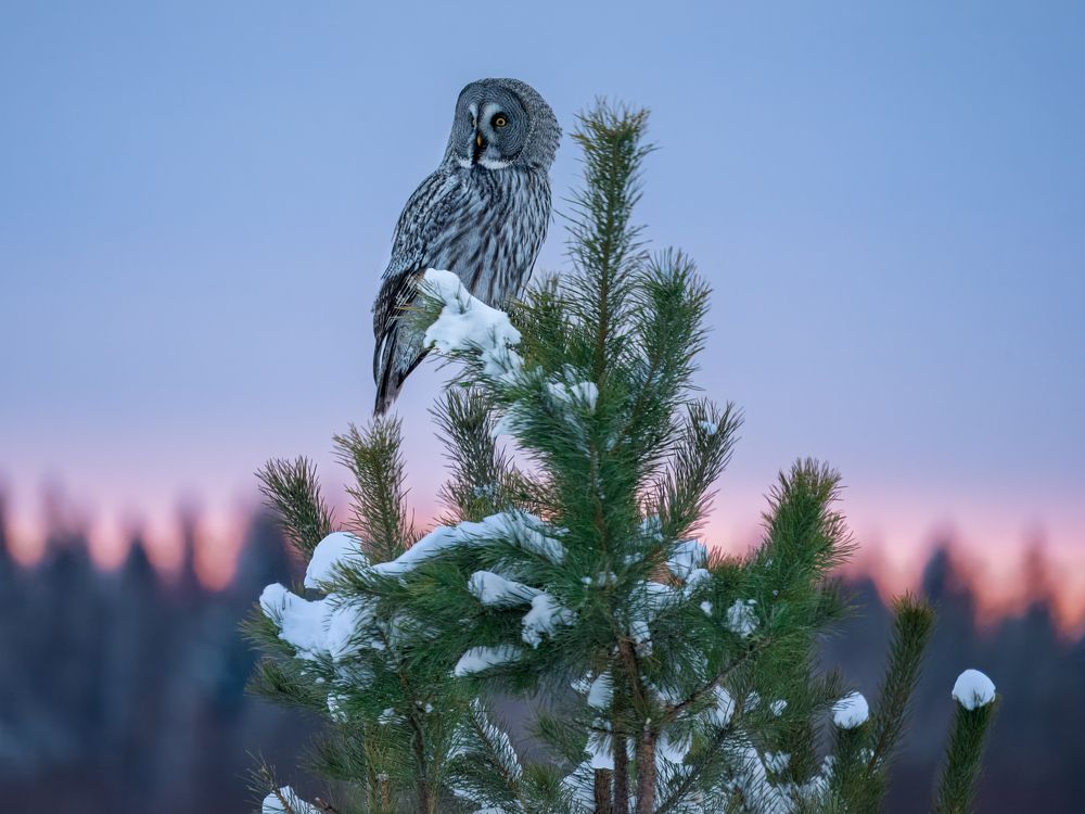 Photograph by Екатерина Дубровская