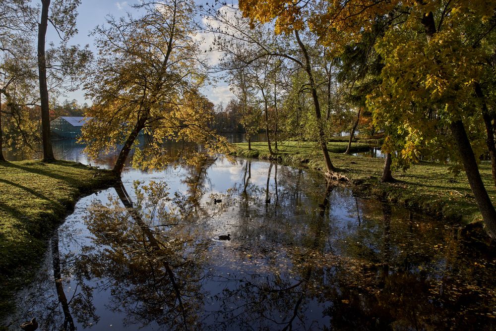 Photograph by Харламова Валентина