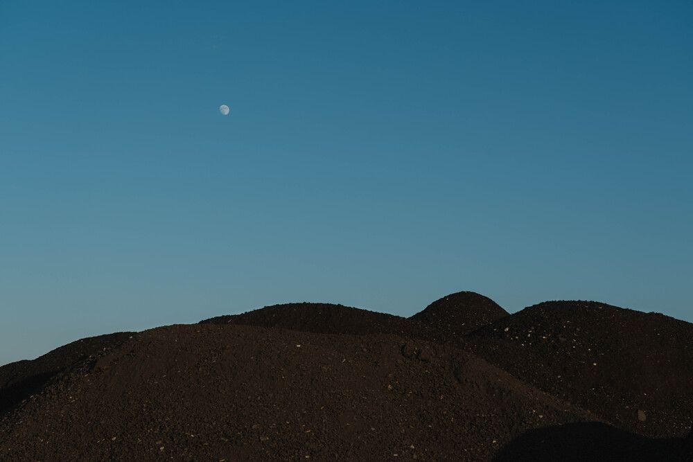 Photograph by Elena Malinina