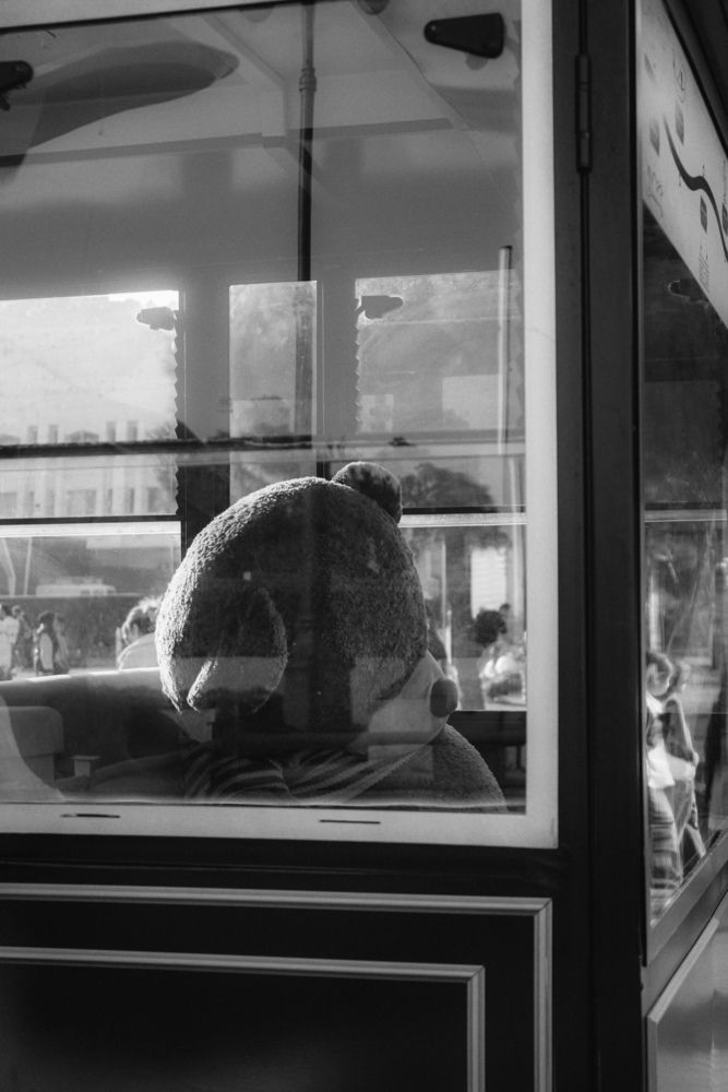 Between Glass and Silence