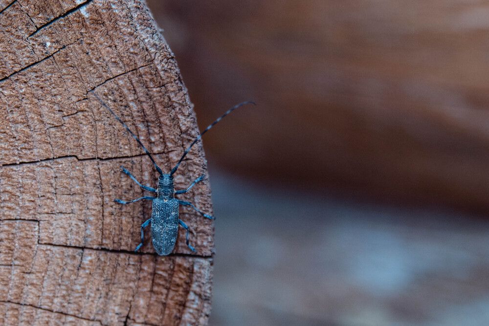 Photograph by Анна Вязьмина