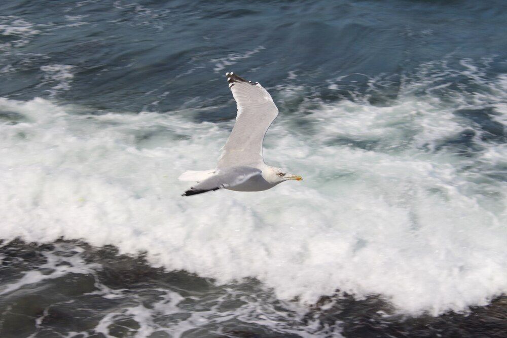 Photograph by Светлана Шубина