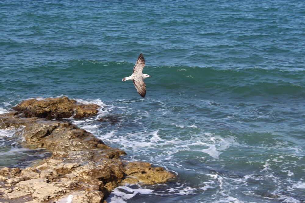 Photograph by Светлана Шубина