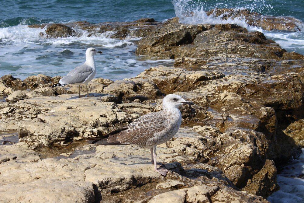 Photograph by Светлана Шубина