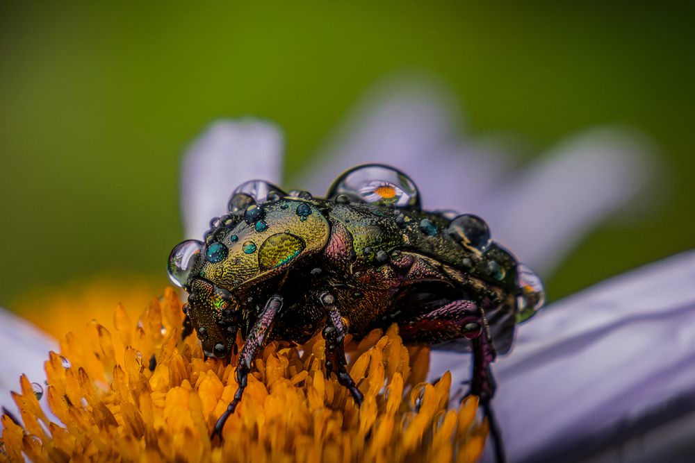 Photograph by Alexander Semenko