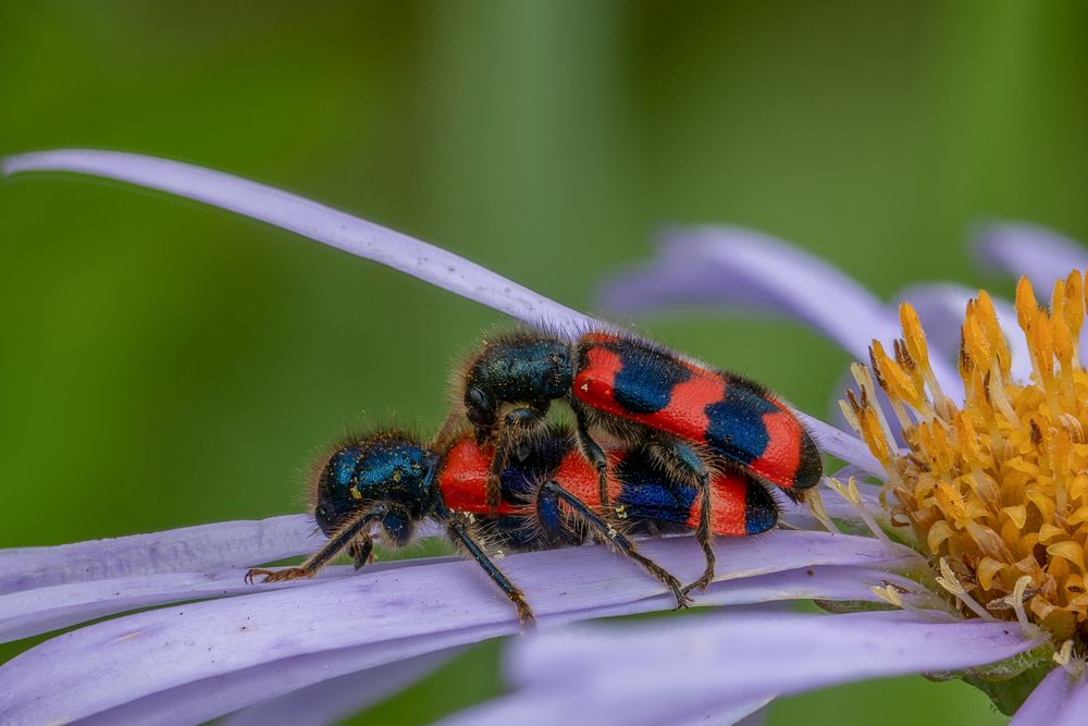 Photograph by Alexander Semenko