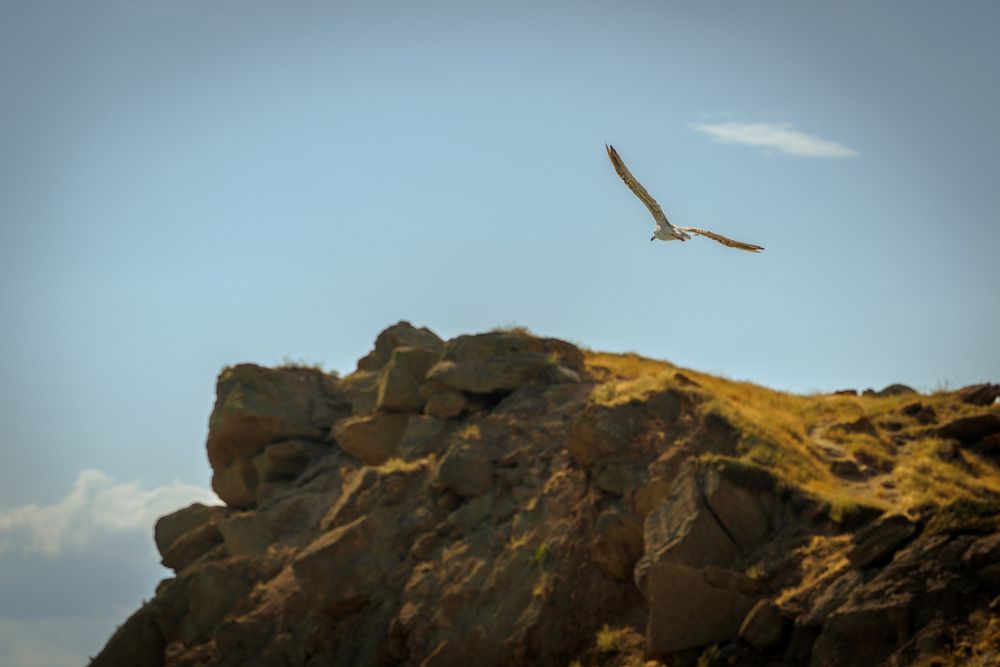 Photograph by Андрей Аникеев