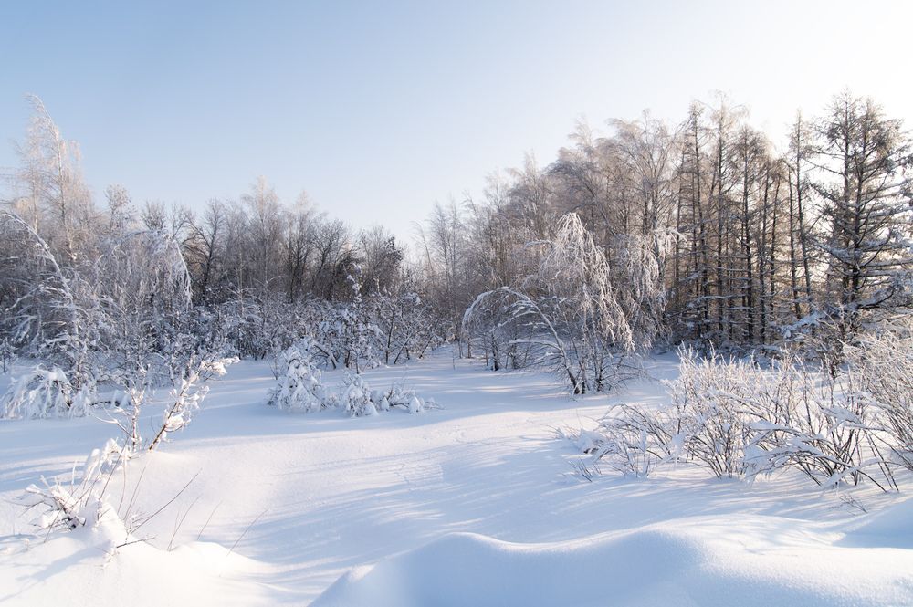 Фотография автора Павел Соснин