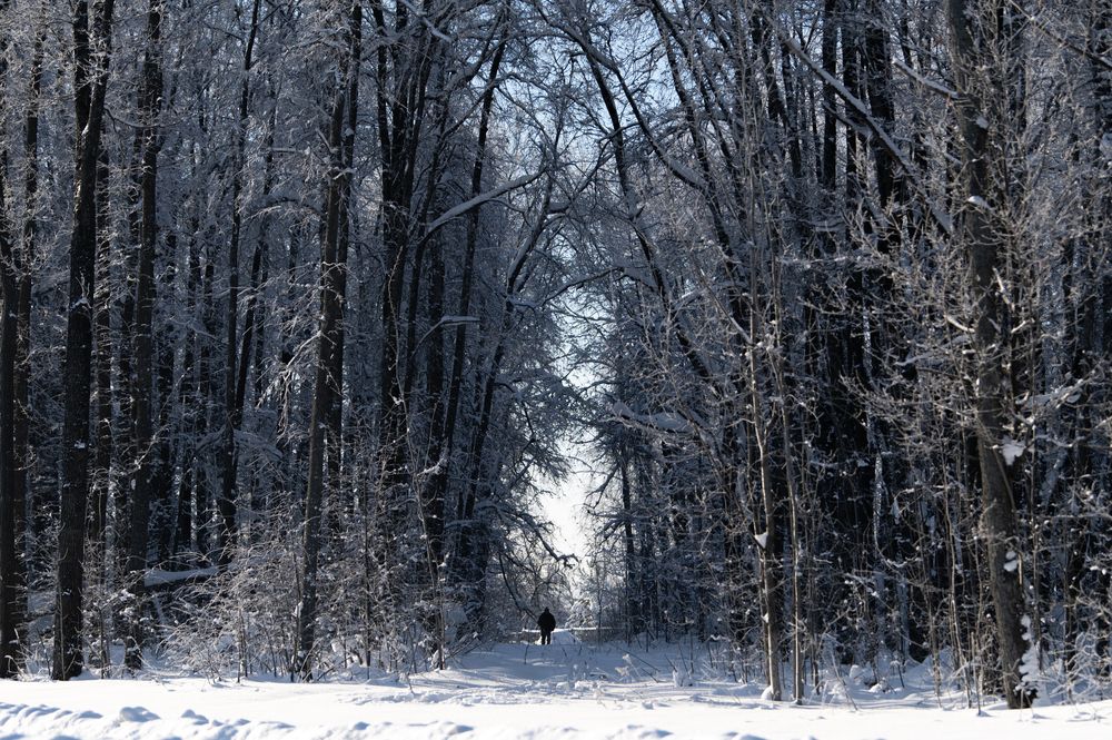 Фотография автора Павел Соснин