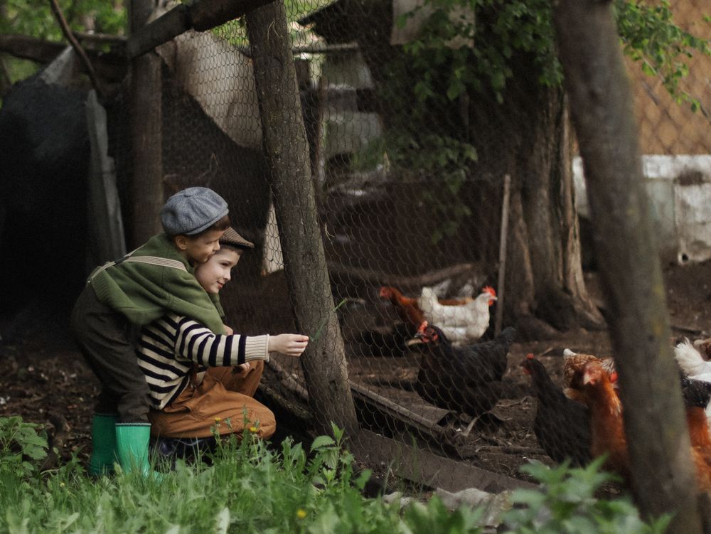 Photograph by Анастасия Кульдишова