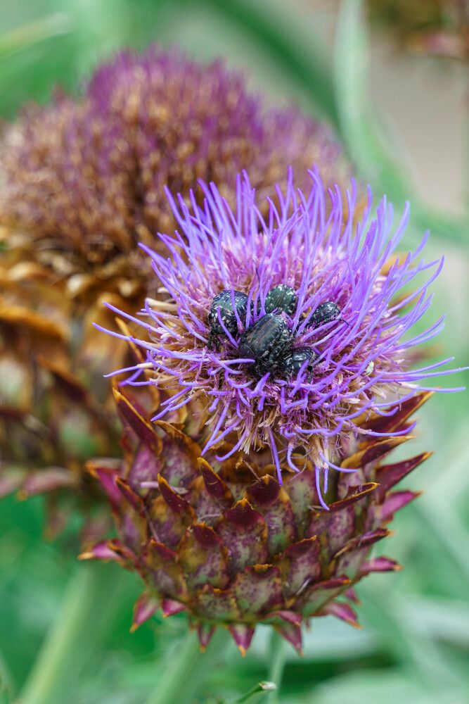 Photograph by Андрей Аникеев