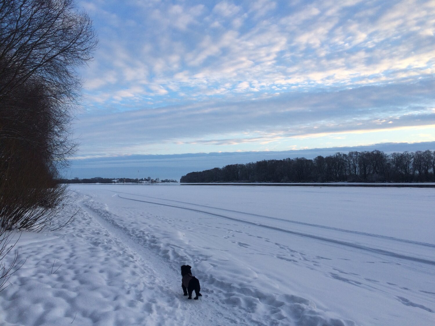 Photo #13220577