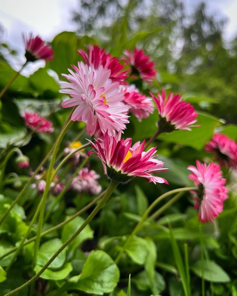 Photograph by Ольга Миронова