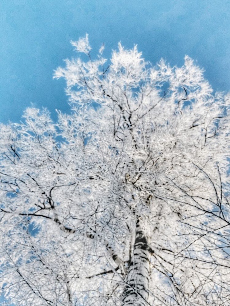 Photograph by Елена Лебедева