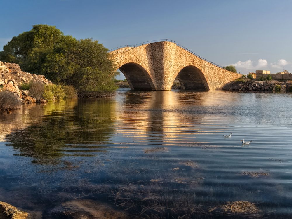 Photograph by Марина Ческис