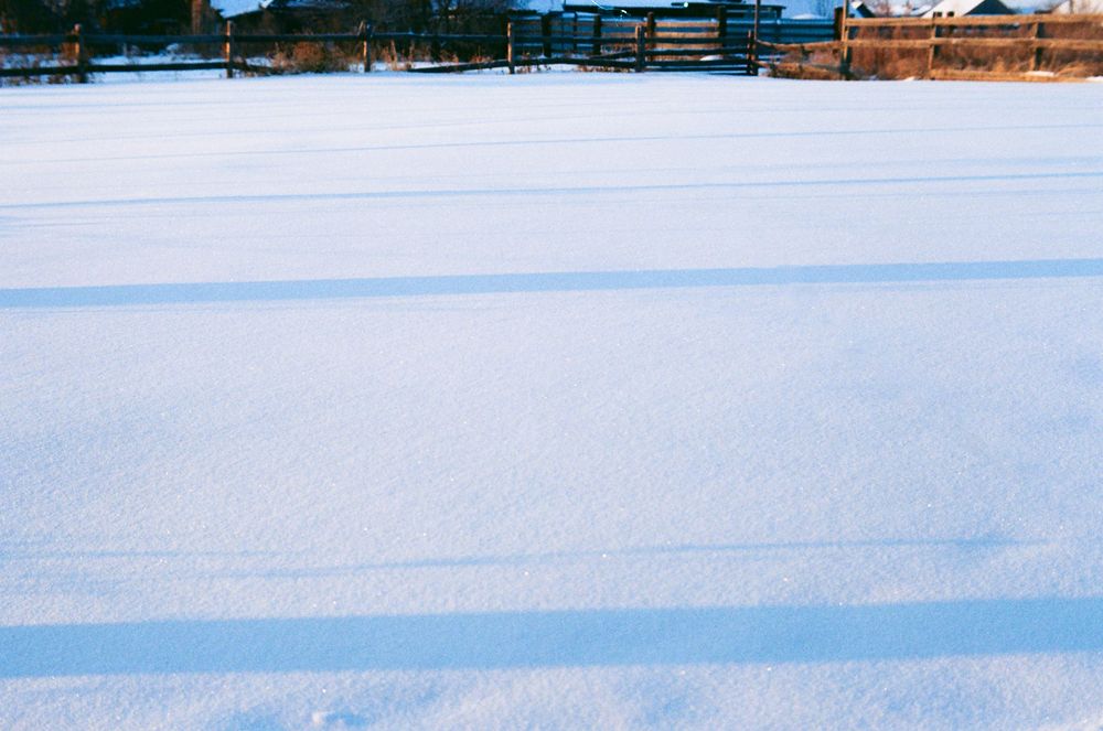 Photograph by Max Shtanko