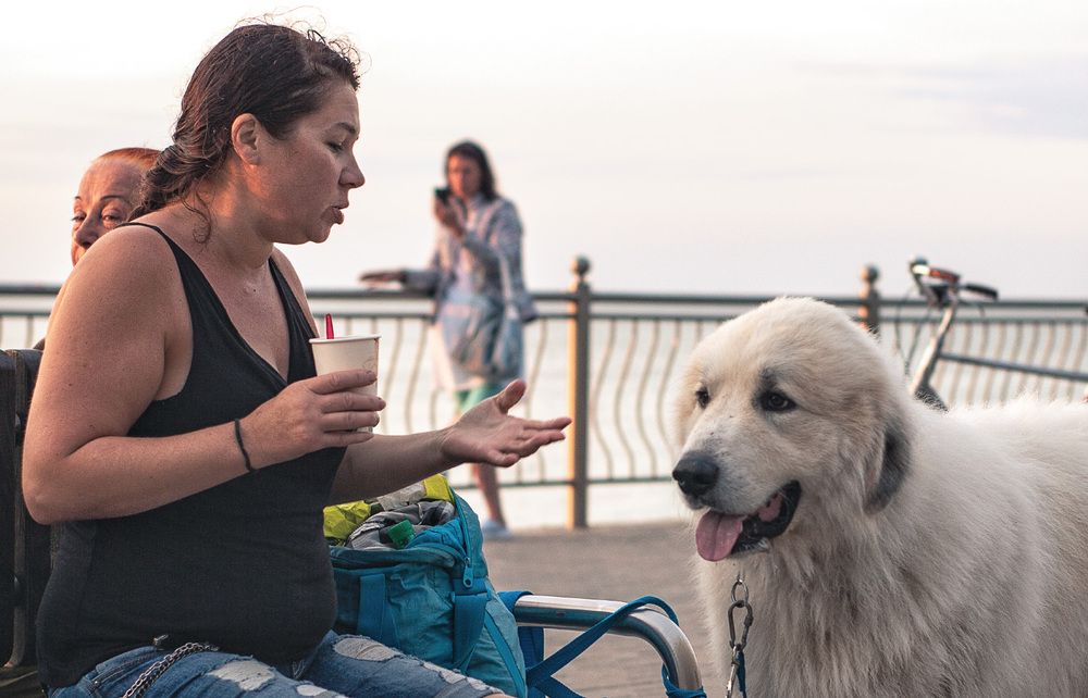 Photograph by Павел Дунюшкин