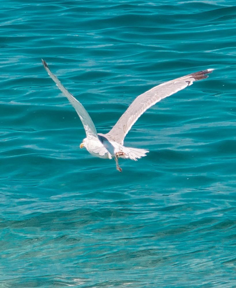 Photograph by Светлана