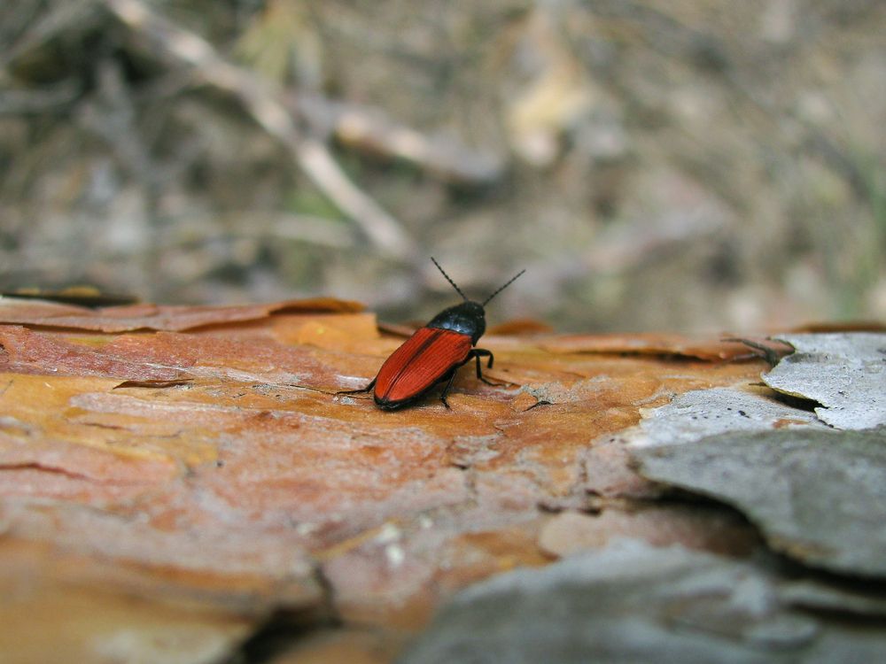 Photograph by Виктор Карпухин