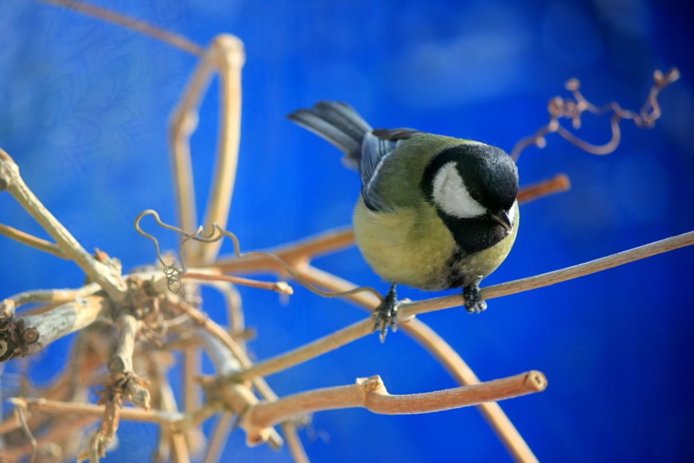 Photograph by Елена Поспелова