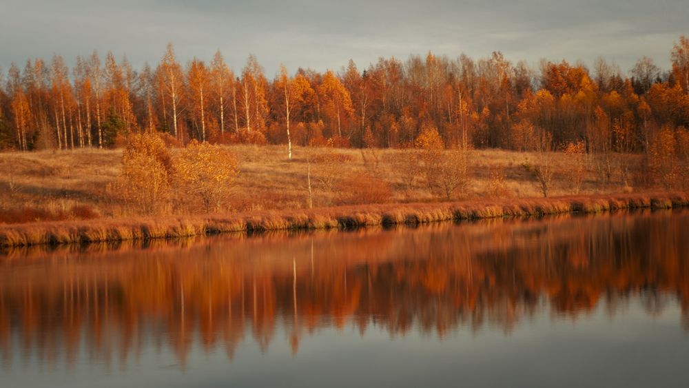Фотография автора Boris Yakovlev