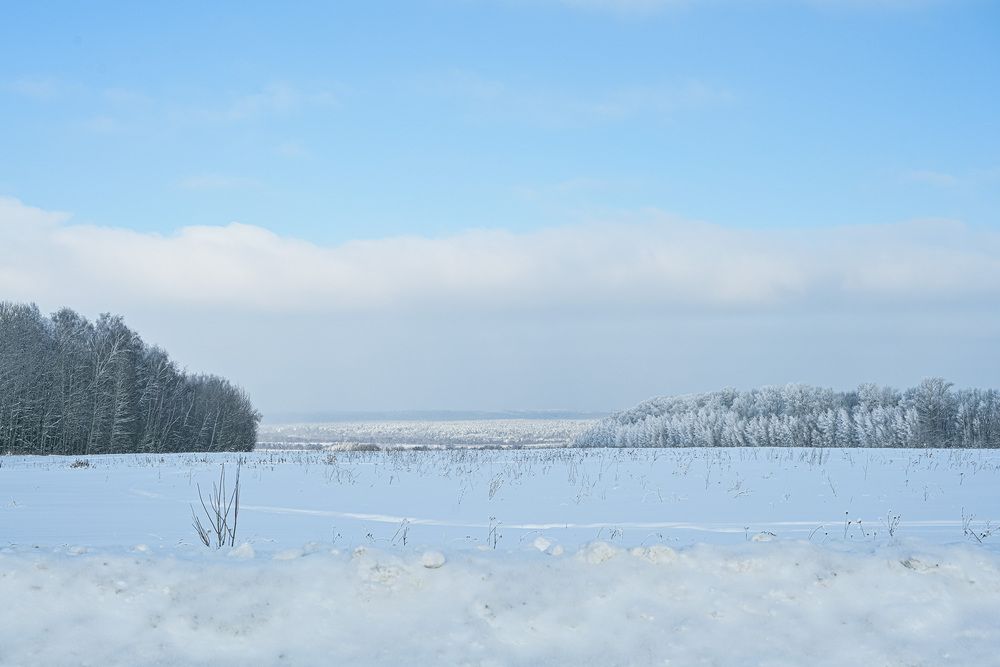 Photograph by Елена Март