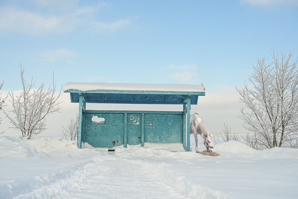 Photograph by Елена Март