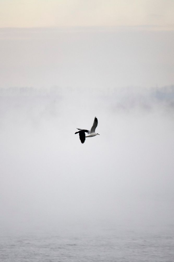 Photograph by Наталья Мершина