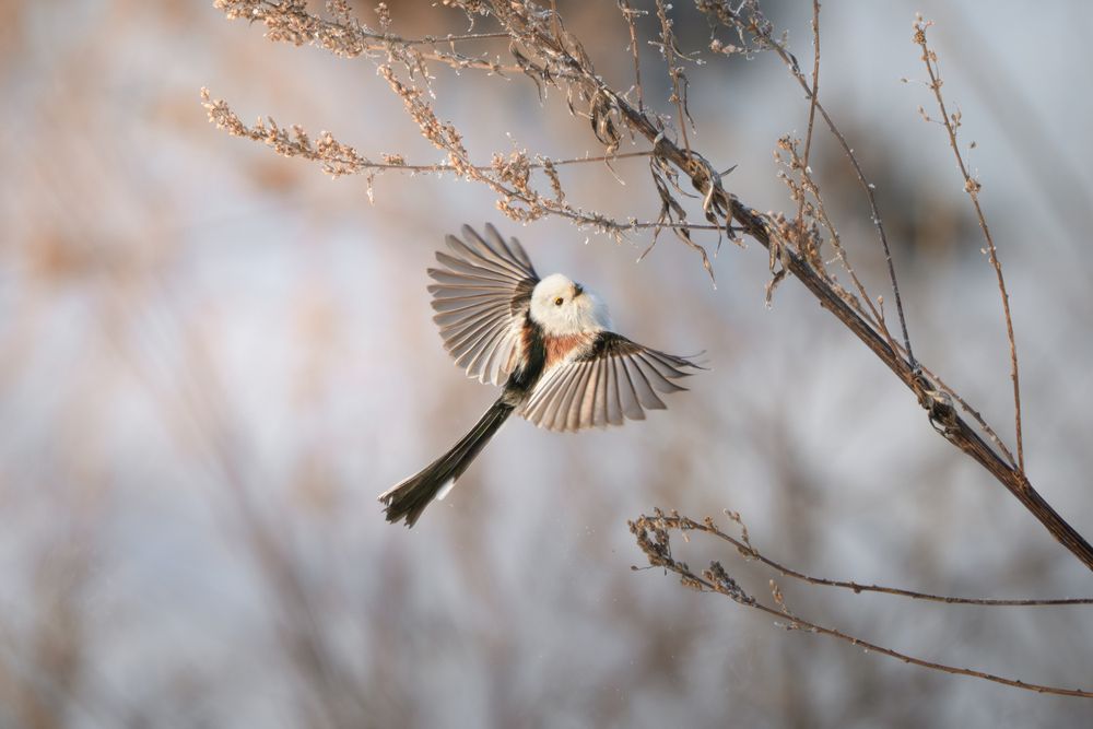 Photograph by Мозжухин Максим