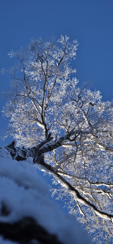 Photograph by Галина Перепечаева