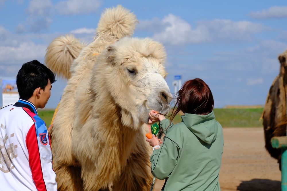 Photograph by Лариса Андреева