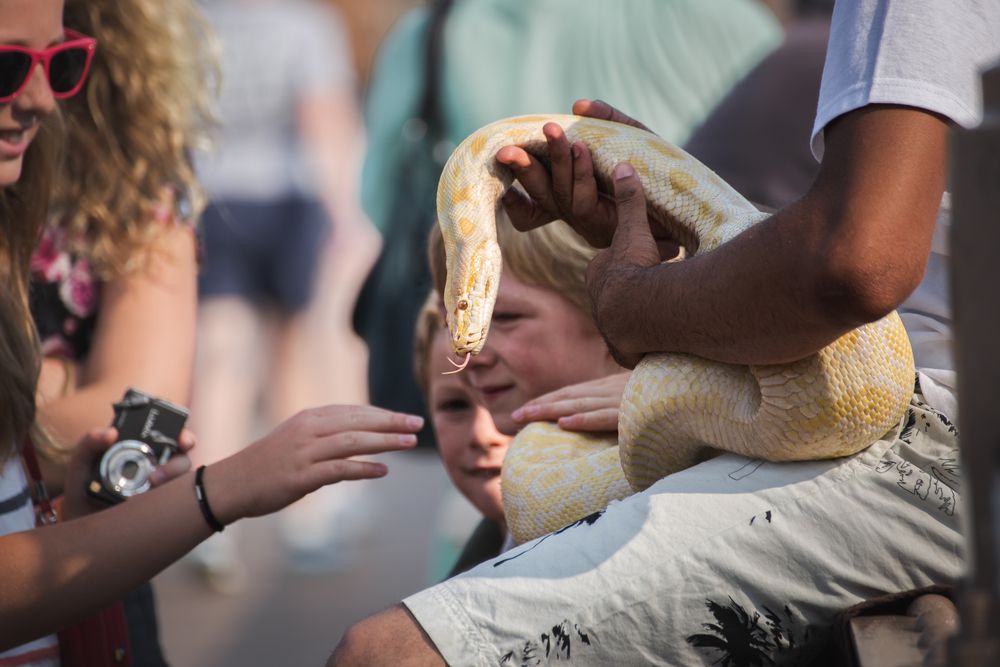 Photograph by Vyacheslav Shausmanov