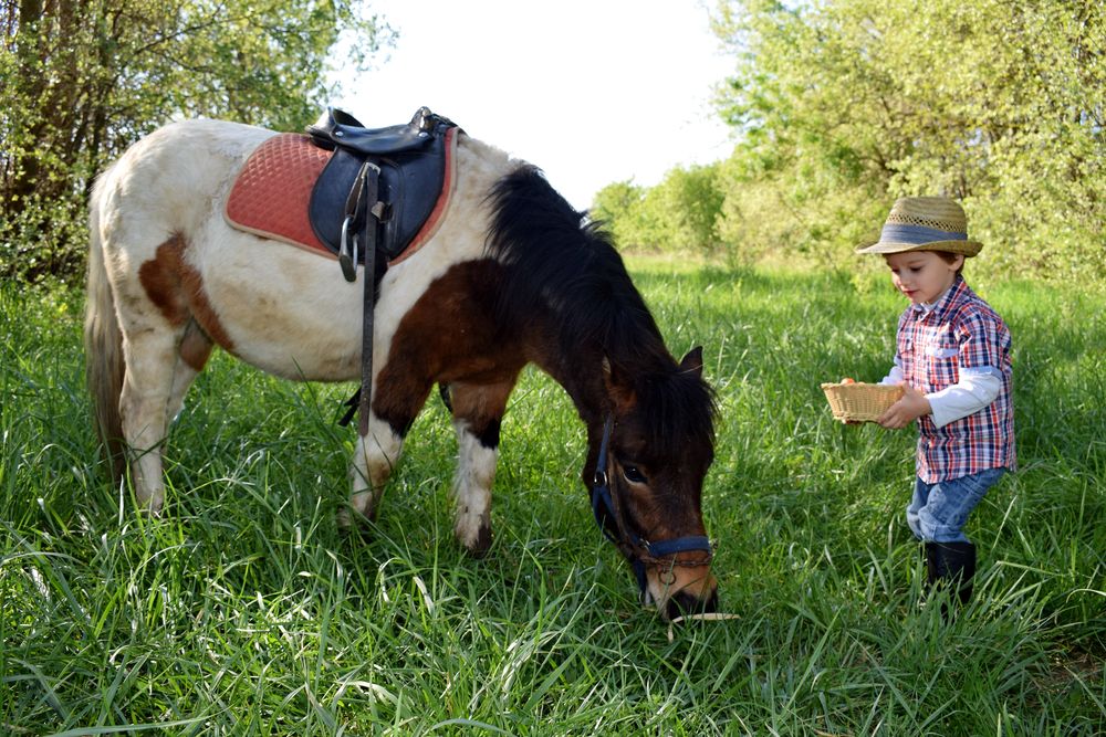 Photograph by Regina Belomytseva-Dahan