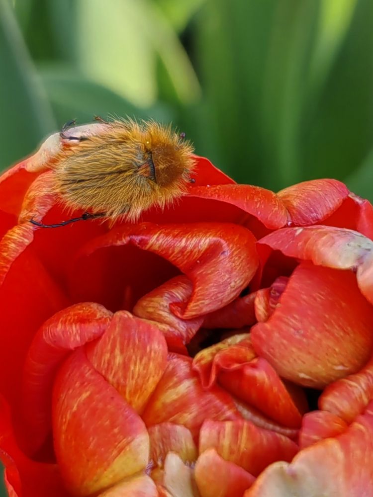 Photograph by Ульяна Кузьмина