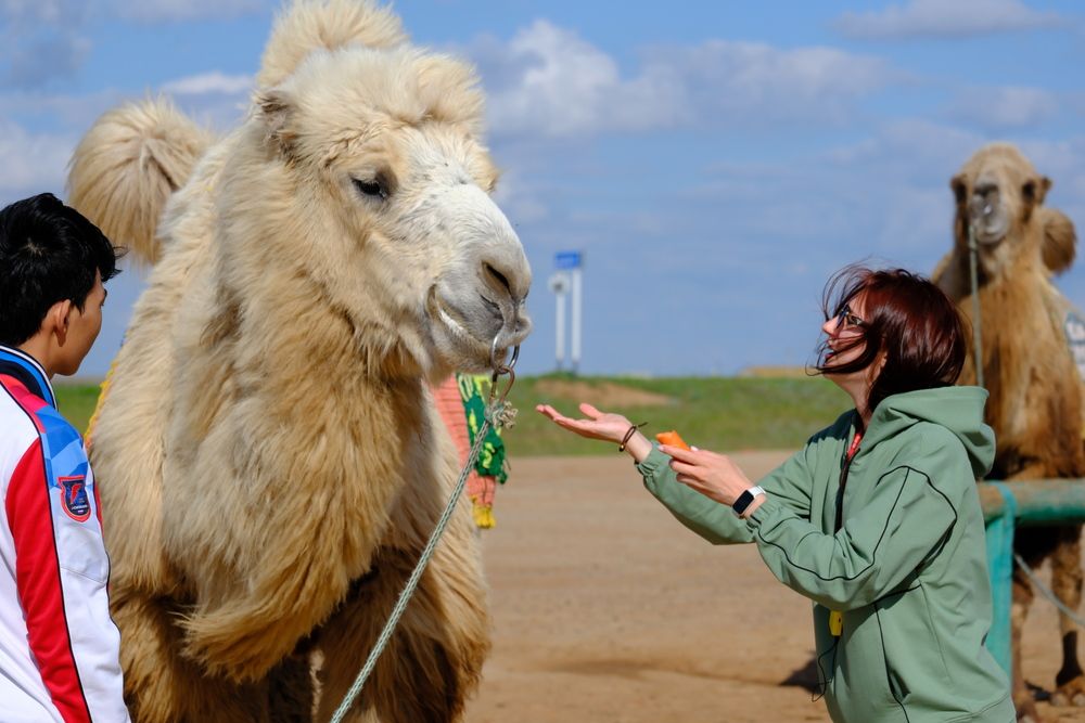 Photograph by Лариса Андреева