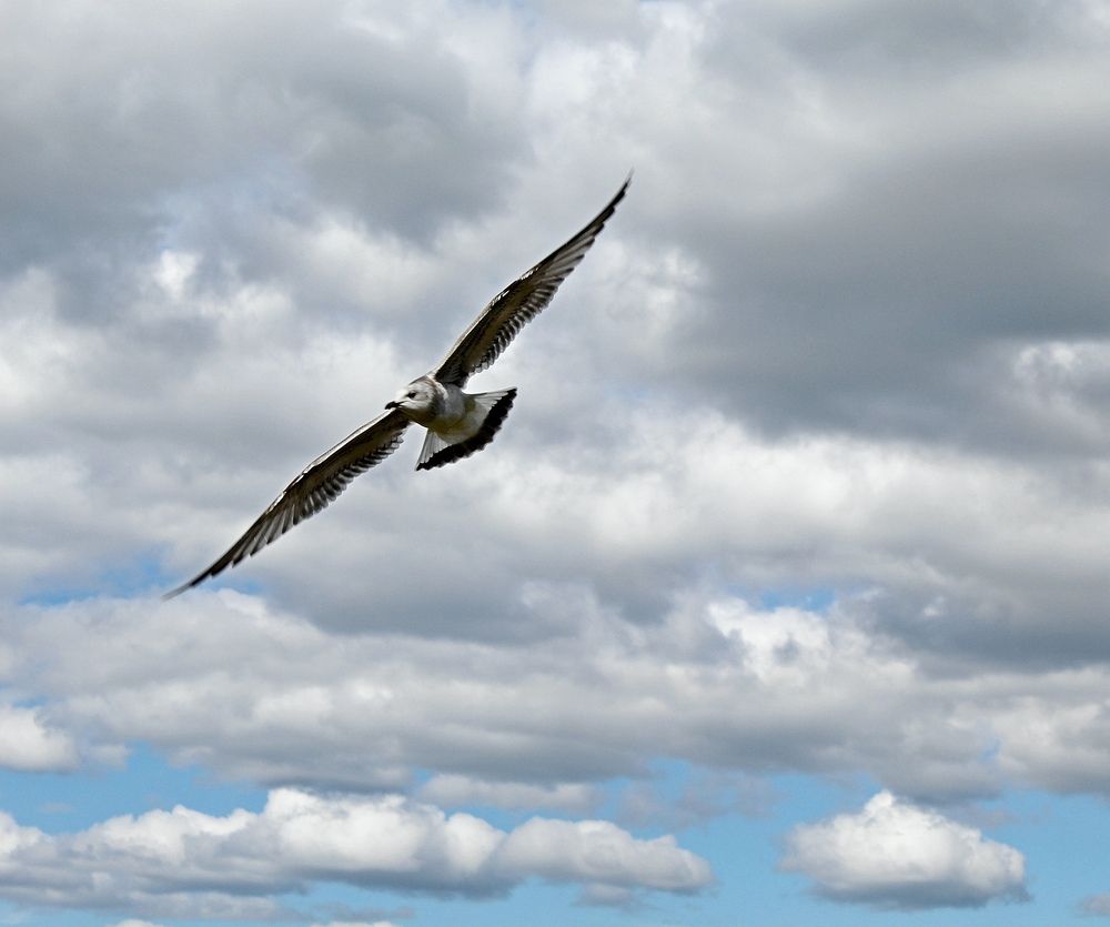 Photograph by Юлия Иванова