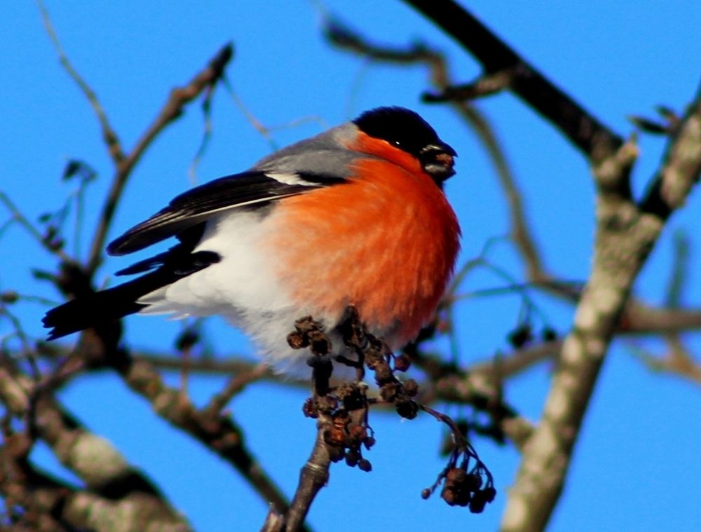 Photograph by Юлия Иванова