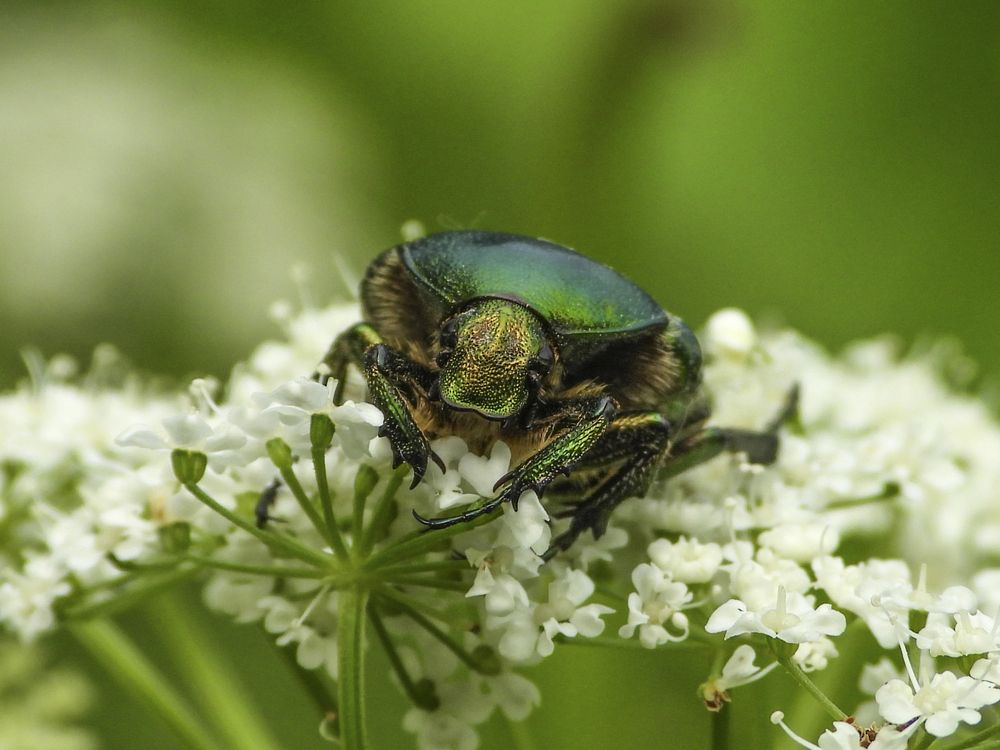 Photograph by Владимир Соколов