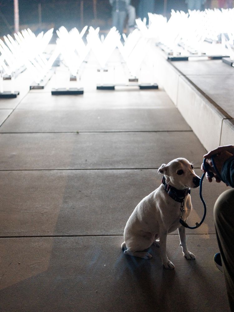 Photograph by Valeria Malinkina