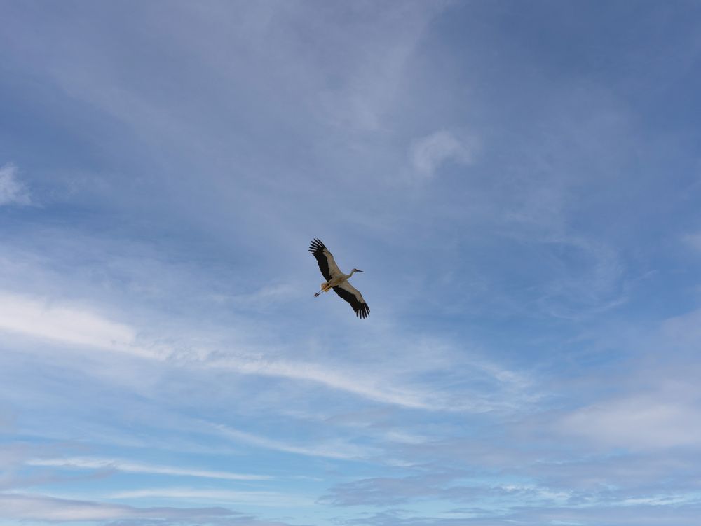 Photograph by Анастасия Онишко