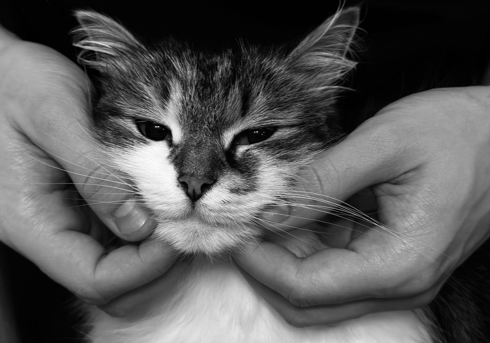 Photograph by наталья ионова