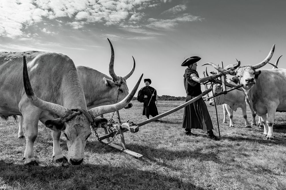 Photograph by István Lehotzky