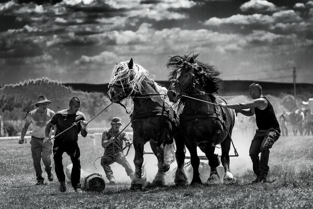 Photograph by István Lehotzky