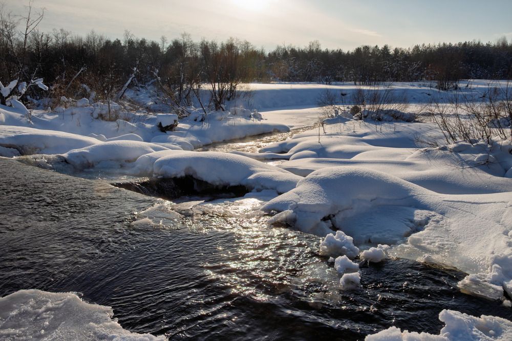 Photograph by Светлана Ващенко
