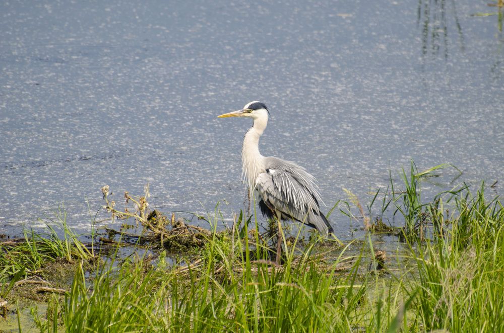 Photograph by Светлана Кудянова